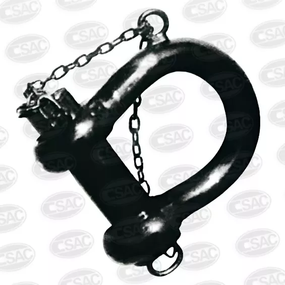 बोया श्याकल प्रकार बी